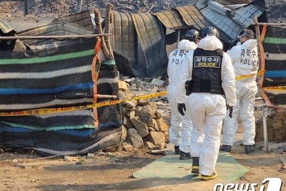 토치로 불 질러 동해안 큰 산불 일으킨 60대 방화범 구속기소
