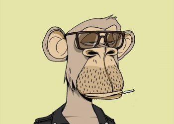 마돈나 7억에 샀던 NFT ‘지루한 원숭이’, 코인 나왔다…2주만에 시총 4조