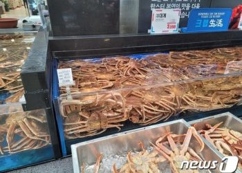 “한마리에 4만원”…’반값 러시아산 대게’ 사러 대형마트 대게런