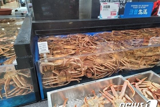 “한마리에 4만원”…’반값 러시아산 대게’ 사러 대형마트 대게런