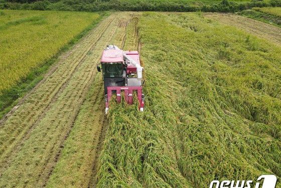 공급망 분석센터 “우크라 사태·팜유 수출 금지 등 식량안보 위기 고조”