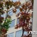 文정부 4년 국토부 자체평가 91점…부동산정책 평가 ‘괴리’