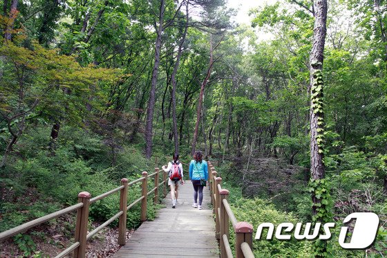 ‘신록의 계절’ 집에서 직장서도 산림욕 가능?