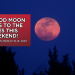 이번 주말, 앨라배마 밤하늘에 블러드문 개기월식