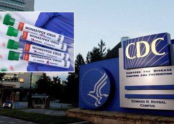 애틀랜타 지역 남성 원숭이두창 양성반응 보여