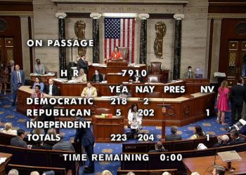 연방하원 민주당, 총기규제법 통과 강행