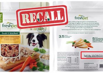 살로넬라 우려로 리콜된 개 사료, 앨라배마 월마트에도 팔려