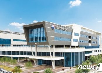 여름철 상추, 씻은 뒤 보관은 피해야…견과류 곰팡이독소 조심