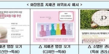 특허청, 화장품 지식재산권 허위표시 31개 제품 672건 적발