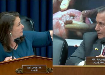 게리 팔머 하원의원, 청문회 중 태아 사진 공개 저지당해