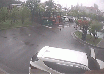 아파트서 8세 남아 개물림…목 물린채 발버둥, 택배기사가 구했다