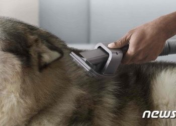 ‘펫 가전’ 뛰어든 다이슨…”韓반려동물 가정, 특화된 청소 필요”