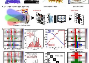 IBS, 늘리거나 구부려도 빛 감지 능력 뛰어난 신축성 나노소자 개발
