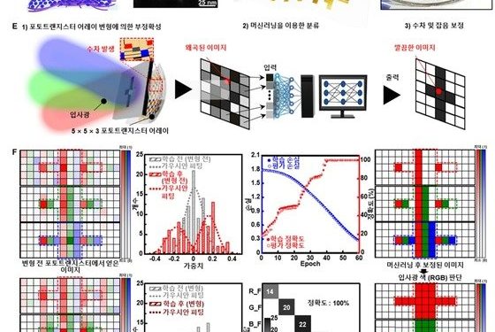 IBS, 늘리거나 구부려도 빛 감지 능력 뛰어난 신축성 나노소자 개발