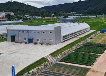 접경지역 화천군 바나나·커피나무 등 열대작물 심는다