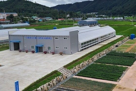 접경지역 화천군 바나나·커피나무 등 열대작물 심는다