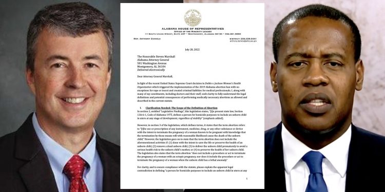 주 하원 소수당 리더 대니얼 의원, 낙태법 세부 지침 요구