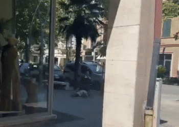 “여친 아름답다” 말했다고…길거리 상인 때려 죽인 이탈리아男