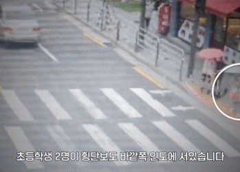 대낮 만취운전車 ‘묻지마 우회전’…횡단보도 아이들 쳤다