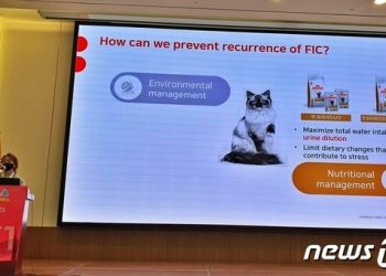 “강아지·고양이도 충분한 수분 섭취 필요”…음수량 늘리려면