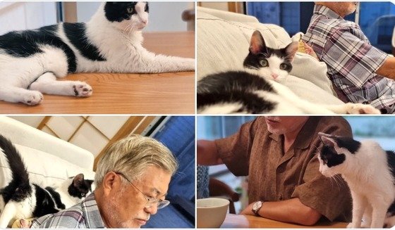 尹 “文 사저 경호구역 확대”→ 文 반려묘와 평화로운 주말· 평산마을도 고요