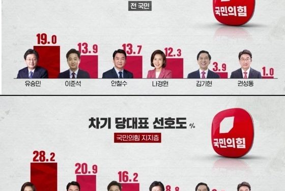 與차기 ‘민심’ 유승민→이준석→안철수 vs ‘당심’ 羅安李…넥스트리서치