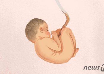 1등 정자가 난자 만난다? 잘못 알았던 탄생의 비밀