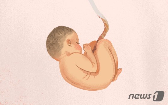 1등 정자가 난자 만난다? 잘못 알았던 탄생의 비밀