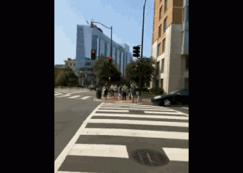 아이폰14 프로 ‘카메라 결함’ 문제…애플 “새 SW 배포”