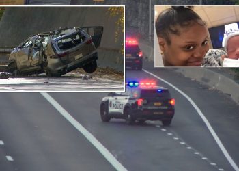 틱톡 “기아 챌린지” 시도 중 10대 4명 차사고로 사망