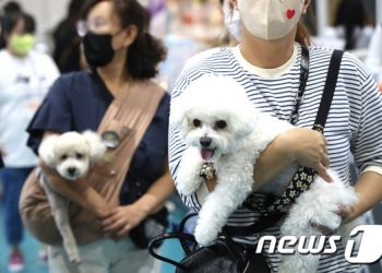 강아지·고양이 쓰다듬을 때 우리 뇌에서 일어나는 일
