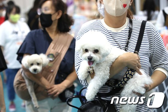 강아지·고양이 쓰다듬을 때 우리 뇌에서 일어나는 일