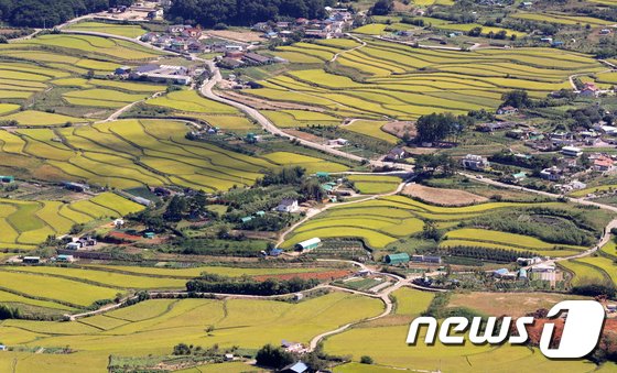 금리 치솟는데 이자폭탄에 노출된 농가…농업인 ‘변동금리’ 대출 증가
