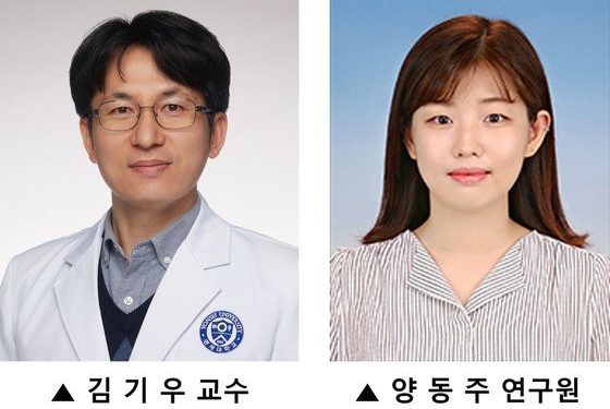 세포 속 일차섬모, ‘뚱보 호르몬’ 렙틴 감지해 식욕조절한다