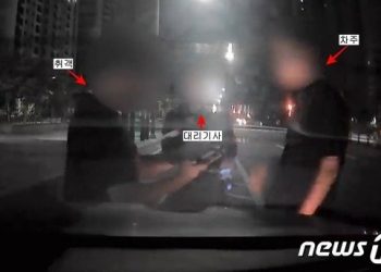 정차한 남의 차 올라탄 대리기사·취객…”셋 다 억울” 차주 웃어넘긴 이유