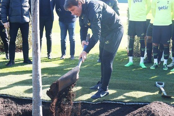 토트넘, 벤트로네 코치 기리는 나무 심어…’언제나 훈련장에서 함께 하길’