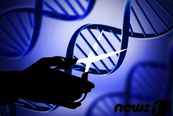 美 CRD ‘뒤센근이양증’ 유전자편집 신약 임상시험, 유일한 참가자 사망