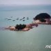 ‘경차보다 싸’ 입소문에 수십명 몰렸다…감정가 30배에 낙찰된 섬