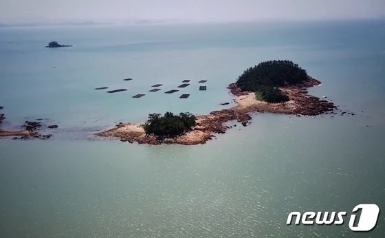 ‘경차보다 싸’ 입소문에 수십명 몰렸다…감정가 30배에 낙찰된 섬