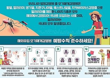 대전서 첫 ‘지카바이러스 감염증’ 환자 발생