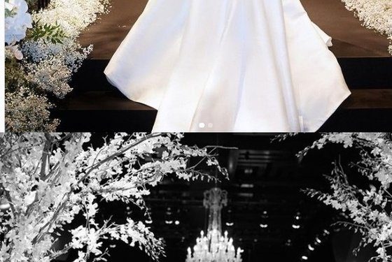 황보라♥차현우, 달콤한 입맞춤…행복 가득한 결혼식 공개