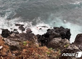 “사는 게 지옥”…절벽 돌진해 치매 母 살해한 아들