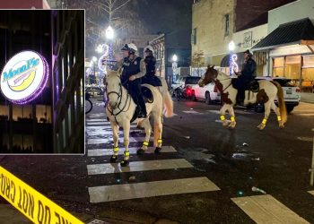 경찰, 모빌 새해전햐 총격사건 용의자 체포