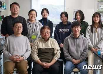 국내 연구진, 손상된 DNA 복구하는 단백질 발견