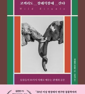 의례는 인간만의 것?…야생동물도 애도하고 슬퍼한다