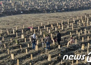 최악 지진에 가족 잃고 망연자실…묘지 안 구슬픈 쿠란 소리