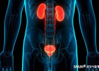 빈뇨, 절박뇨, 잔뇨, 혈뇨…이 모두 ‘방광염’ 증상입니다