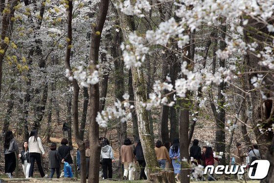 “매주 1~2일 하루 8000보 이상 걸으면 심장병 사망 위험 8.1%↓”-美·日 연구팀