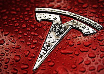 머스크 ‘박리다매’ 전략과 테슬라 로보택시의 미래