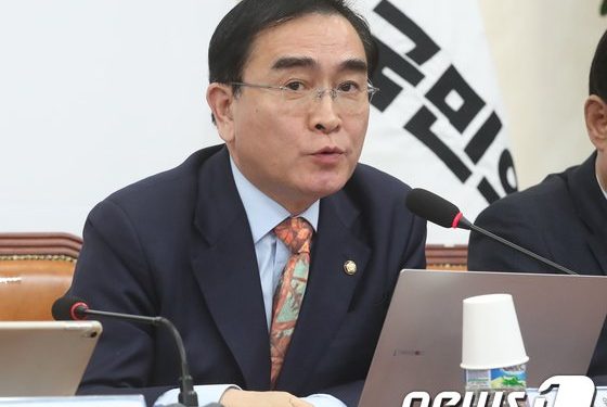 태영호 “김구 선생, 김일성 통일전선 전략에 이용당해”